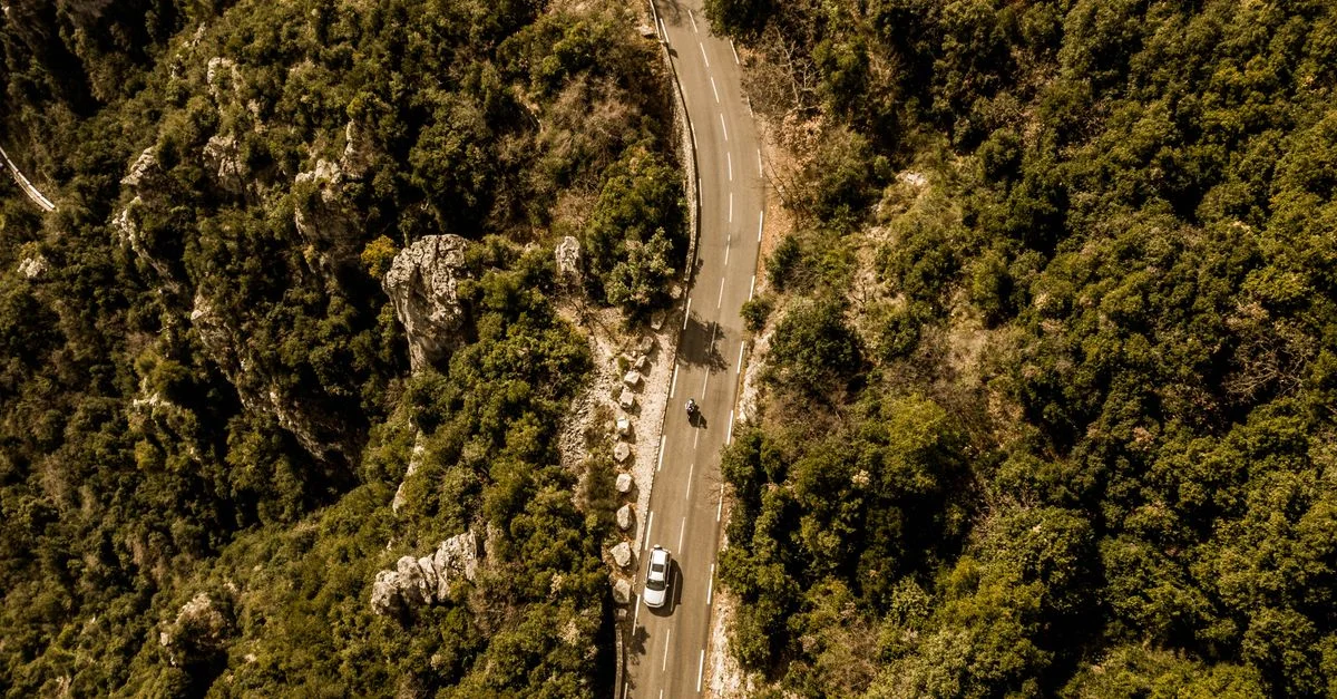 Vue aérienne à couper le souffle d'une route sinueuse traversant une végétation luxuriante, idéale pour les explorateurs en quête d'un road trip.