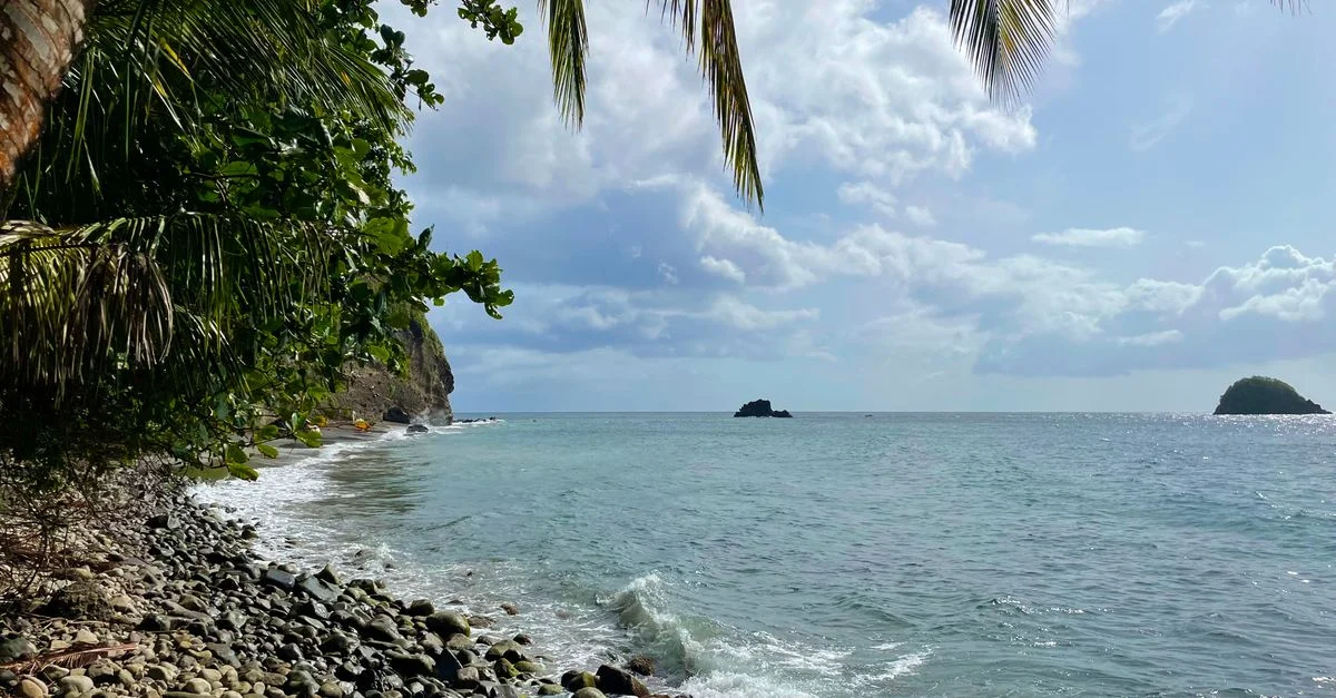 Plage tropicale paisible avec palmiers et rivage rocheux à Le Prêcheur, Martinique.