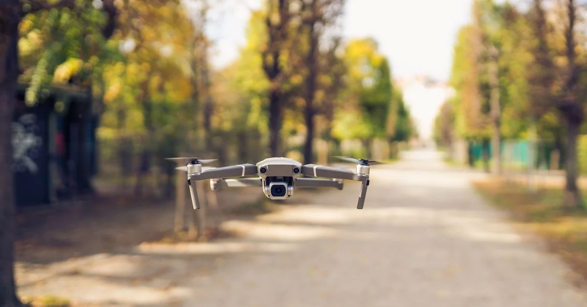 Un drone survole un chemin bordé d'arbres dans un parc, capturant des vues sereines de la nature.